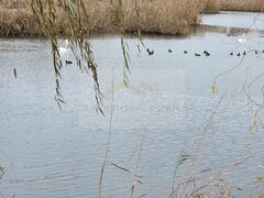 Corbeanca, parcela intravilana cu vedere superba la lac, investitie de top
