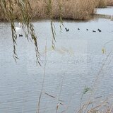 Corbeanca, parcela intravilana cu vedere superba la lac, investitie de top
